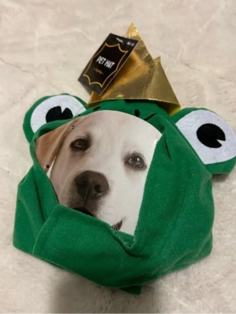Meijer | Dog Costume 